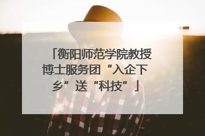 衡阳师范学院教授博士服务团“入企下乡”送“科技”