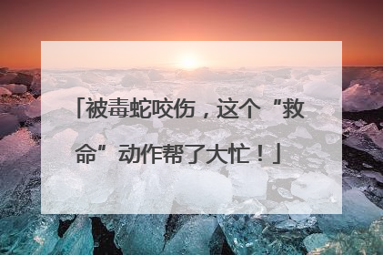 被毒蛇咬伤，这个“救命”动作帮了大忙！