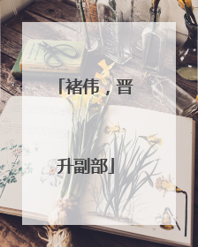 褚伟，晋升副部