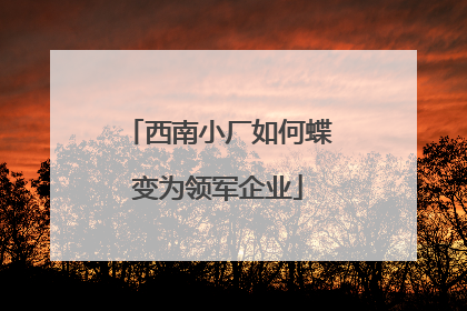 西南小厂如何蝶变为领军企业