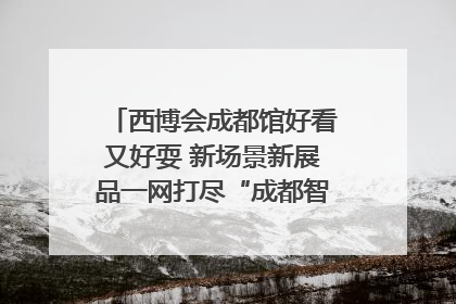西博会成都馆好看又好耍 新场景新展品一网打尽“成都智造”｜西博视界