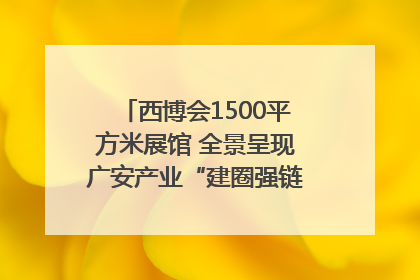 西博会1500平方米展馆 全景呈现广安产业“建圈强链”｜西博视界