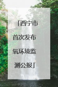 西宁市首次发布氧环境监测公报