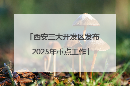 西安三大开发区发布2025年重点工作