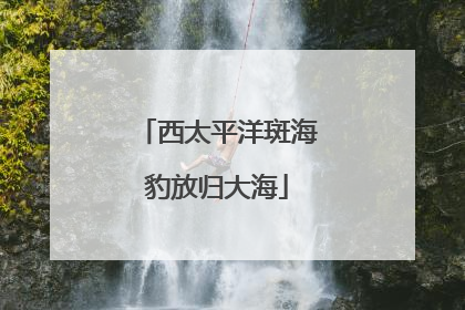 西太平洋斑海豹放归大海