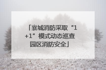 襄城消防采取“1+1”模式动态巡查园区消防安全
