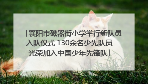 襄阳市磁器街小学举行新队员入队仪式 130余名少先队员光荣加入中国少年先锋队