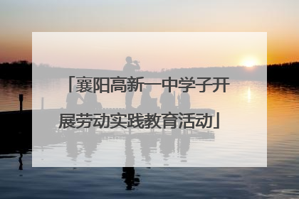 襄阳高新一中学子开展劳动实践教育活动