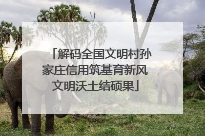 解码全国文明村孙家庄信用筑基育新风文明沃土结硕果