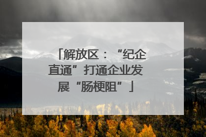 解放区：“纪企直通”打通企业发展“肠梗阻”