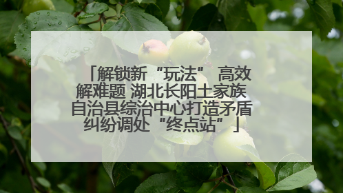 解锁新“玩法” 高效解难题 湖北长阳土家族自治县综治中心打造矛盾纠纷调处“终点站”