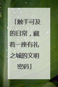 触手可及的日常，藏着一座有礼之城的文明密码