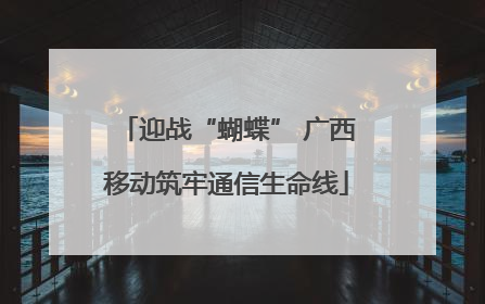 迎战“蝴蝶” 广西移动筑牢通信生命线