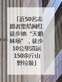 近50名志愿者集结网红徒步地“天鹅林场”，徒步10公里清运150余斤山野垃圾