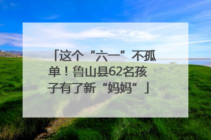 这个“六一”不孤单！鲁山县62名孩子有了新“妈妈”