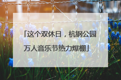 这个双休日，杭钢公园万人音乐节热力爆棚