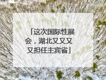 这次国际性展会，湖北又又又又担任主宾省