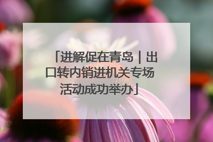 进解促在青岛｜出口转内销进机关专场活动成功举办