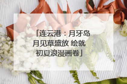 连云港：月牙岛月见草盛放 绘就初夏浪漫画卷