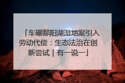 车碾鄱阳湖湿地案引入劳动代偿：生态法治在创新尝试｜有一说一