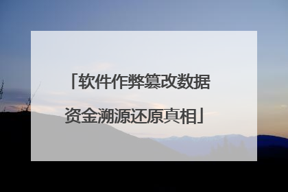 软件作弊篡改数据 资金溯源还原真相
