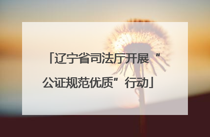 辽宁省司法厅开展“公证规范优质”行动
