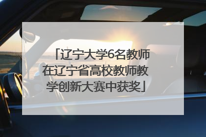 辽宁大学6名教师在辽宁省高校教师教学创新大赛中获奖