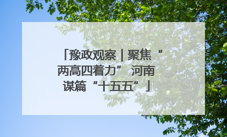 豫政观察｜聚焦“两高四着力” 河南谋篇“十五五”