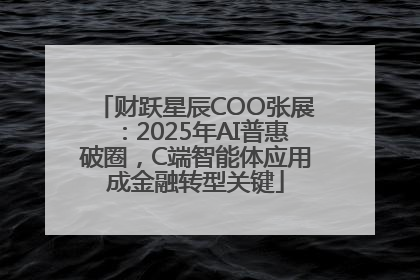 财跃星辰COO张展：2025年AI普惠破圈，C端智能体应用成金融转型关键