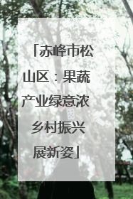 赤峰市松山区：果蔬产业绿意浓 乡村振兴展新姿