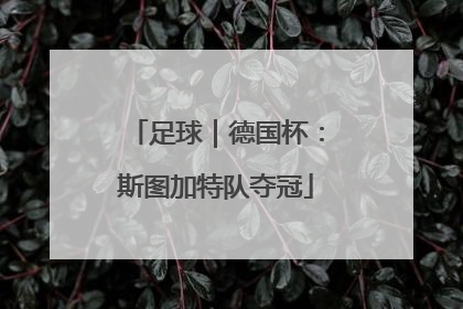 足球｜德国杯：斯图加特队夺冠