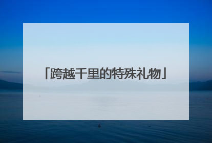跨越千里的特殊礼物