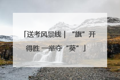 送考风景线｜“旗”开得胜 一举夺“葵”