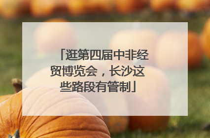 逛第四届中非经贸博览会，长沙这些路段有管制