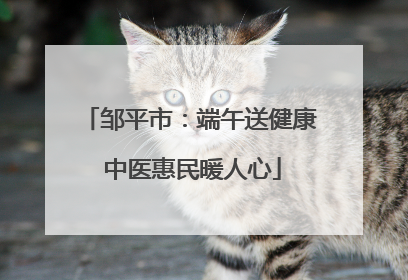 邹平市：端午送健康 中医惠民暖人心