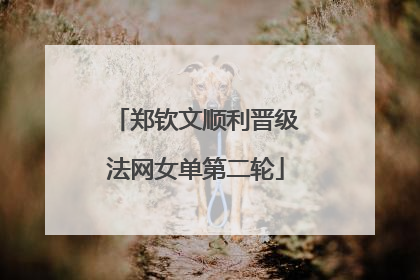 郑钦文顺利晋级法网女单第二轮
