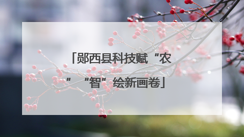 郧西县科技赋“农”“智”绘新画卷