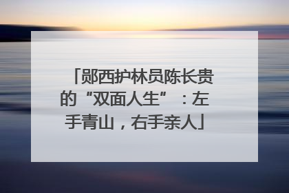 郧西护林员陈长贵的“双面人生”：左手青山，右手亲人