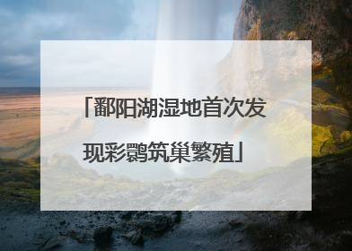 鄱阳湖湿地首次发现彩鹮筑巢繁殖