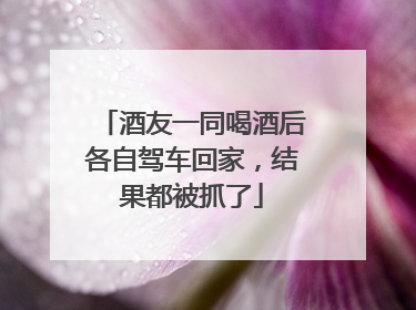 酒友一同喝酒后各自驾车回家，结果都被抓了