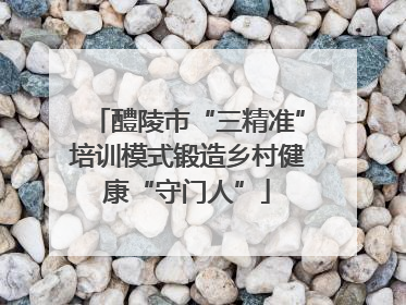 醴陵市“三精准”培训模式锻造乡村健康“守门人”