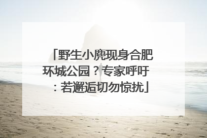 野生小麂现身合肥环城公园？专家呼吁：若邂逅切勿惊扰