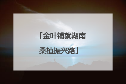 金叶铺就湖南桑植振兴路