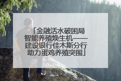 金融活水破困局 智能养殖焕生机——建设银行佳木斯分行助力蛋鸡养殖突围