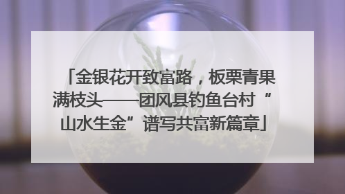 金银花开致富路，板栗青果满枝头——团风县钓鱼台村“山水生金”谱写共富新篇章