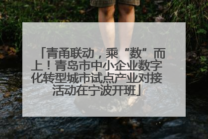 青甬联动，乘“数”而上！青岛市中小企业数字化转型城市试点产业对接活动在宁波开班