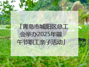 青岛市城阳区总工会举办2025年端午节职工亲子活动