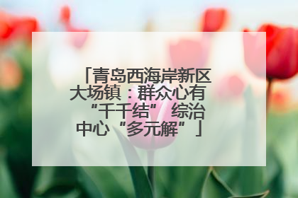 青岛西海岸新区大场镇：群众心有“千千结” 综治中心“多元解”