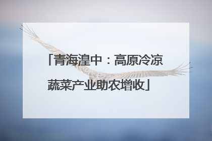 青海湟中：高原冷凉蔬菜产业助农增收