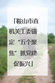 鞍山市直机关工委锚定“五个聚焦”抓党建促振兴